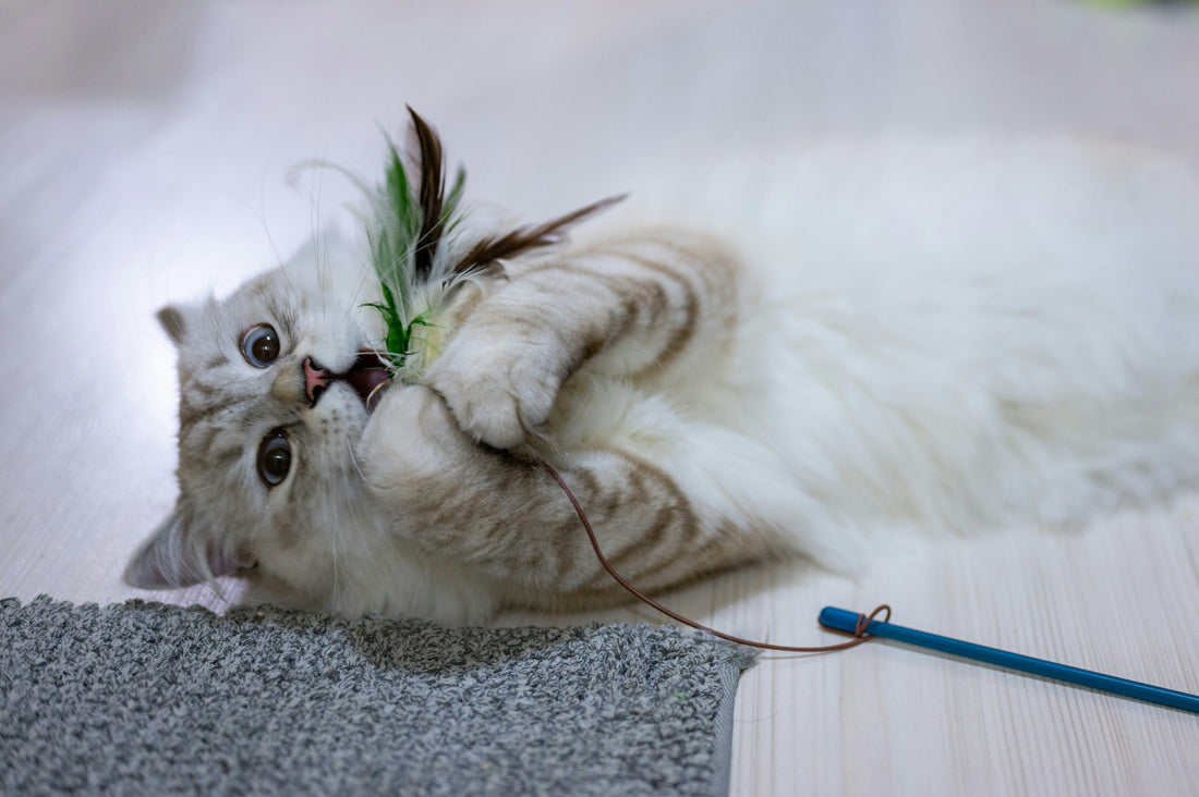 Gato jugando activamente con un juguete en el suelo