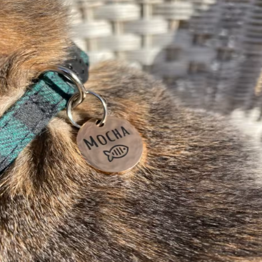 Chapa grabada personalizada